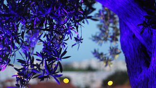 Otvorenje terase Callista Bara Otvorenje terase Callista Bara