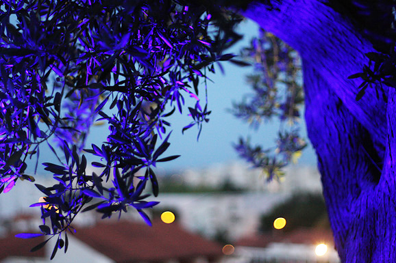 Otvorenje terase Callista Bara Otvorenje terase Callista Bara