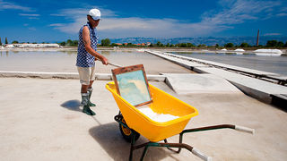 Solana Nin, berba soli, foto: Leo Banić