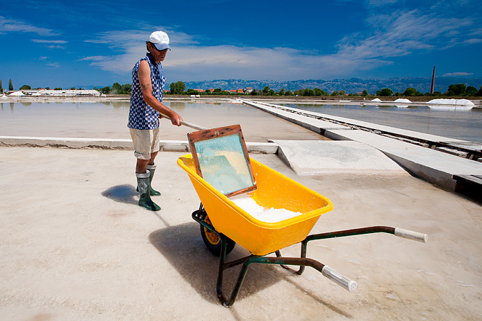 Solana Nin, berba soli, foto: Leo Banić