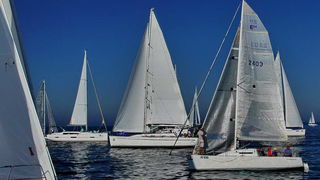 “Zadarska koka”: Regata za sve generacije snimljena iz “koke” “Zadarska koka”: Regata za sve generacije snimljena iz “koke”