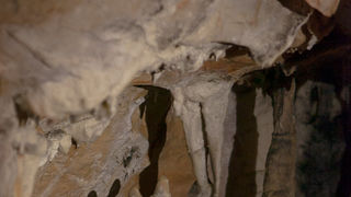Izlet u Cerovačke špilje, foto: Darko Belančić