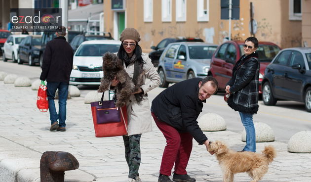 Đir po gradu, ponedjeljak 19. ožujka 2018.