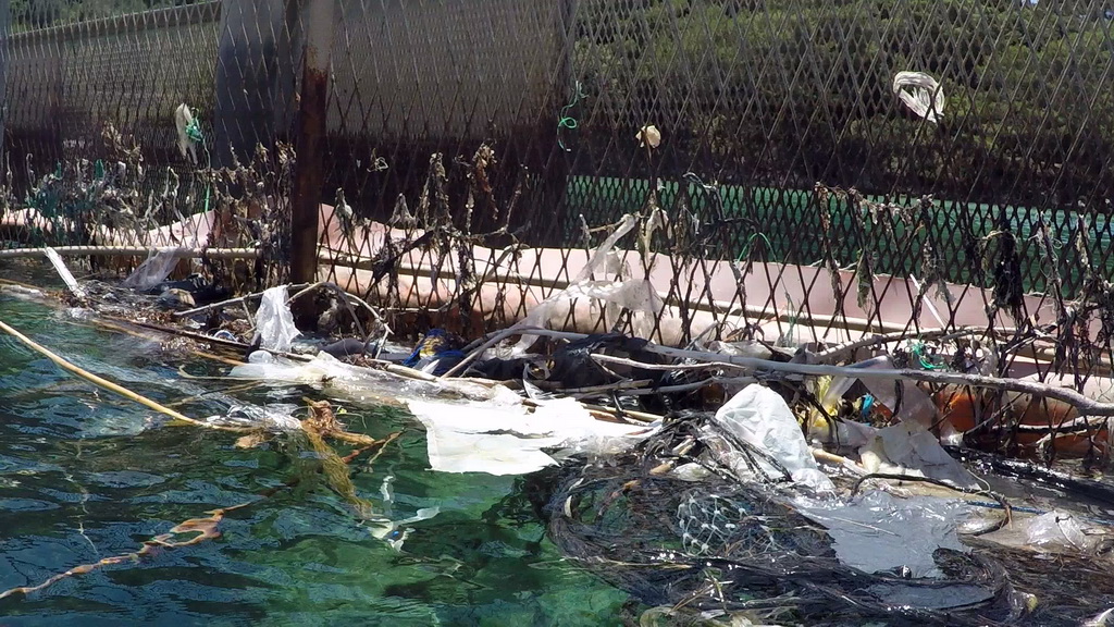 Greenpeace upozorava na problem bacanje plastike u more Greenpeace upozorava na problem bacanje plastike u more