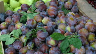 Image 1207679 (auto)