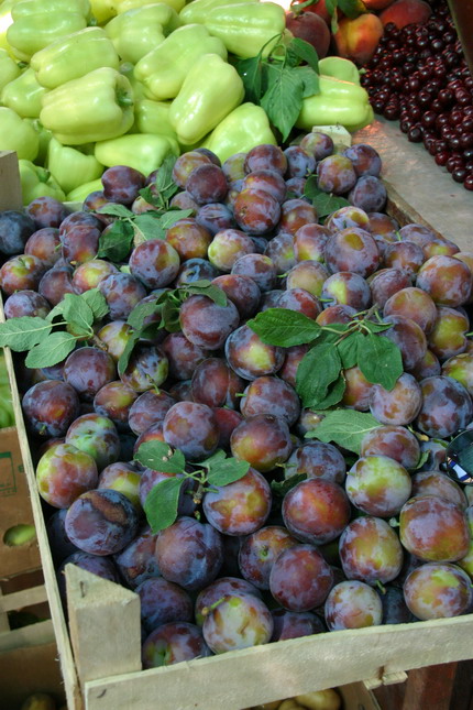 Image 1207679 (auto)