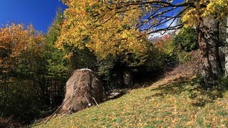 Paklenica: Boje jeseni, Foto: Mladen Radolovic Mrlja