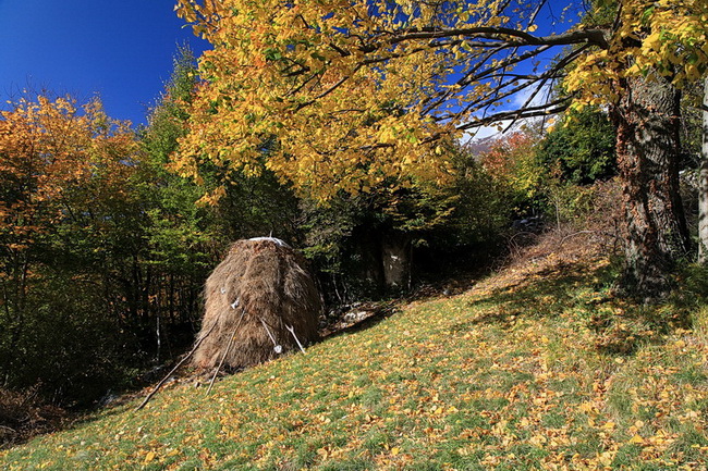 Paklenica: Boje jeseni, Foto: Mladen Radolovic Mrlja