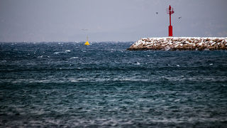 Đir po Punti Bajlo, 7. veljače 2012. (foto:Saša Čuka)
