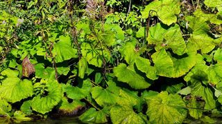 NP Plitvička jezera, listopad 2021.