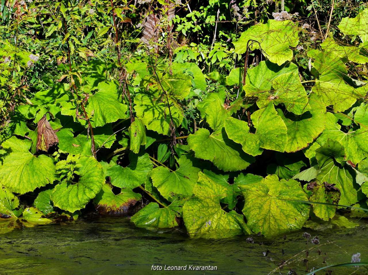 NP Plitvička jezera, listopad 2021.