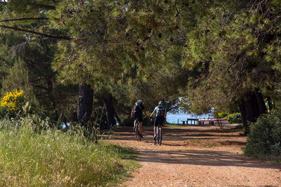 Nedjeljnja šetnja od Dikla do Pinije, Foto: Mladen Radolović Mrlja Nedjeljnja šetnja od Dikla do Pinije, Foto: Mladen Radolović Mrlja