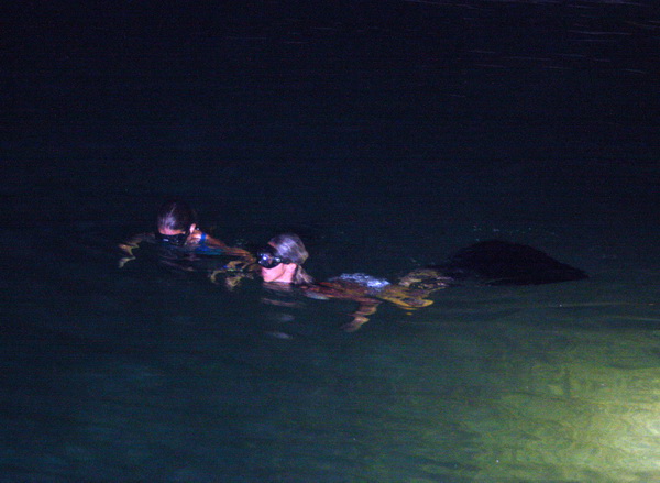 Biograd na Moru: 1. Morska alga 8. kolovoza 2009, Foto: Mladen Malik