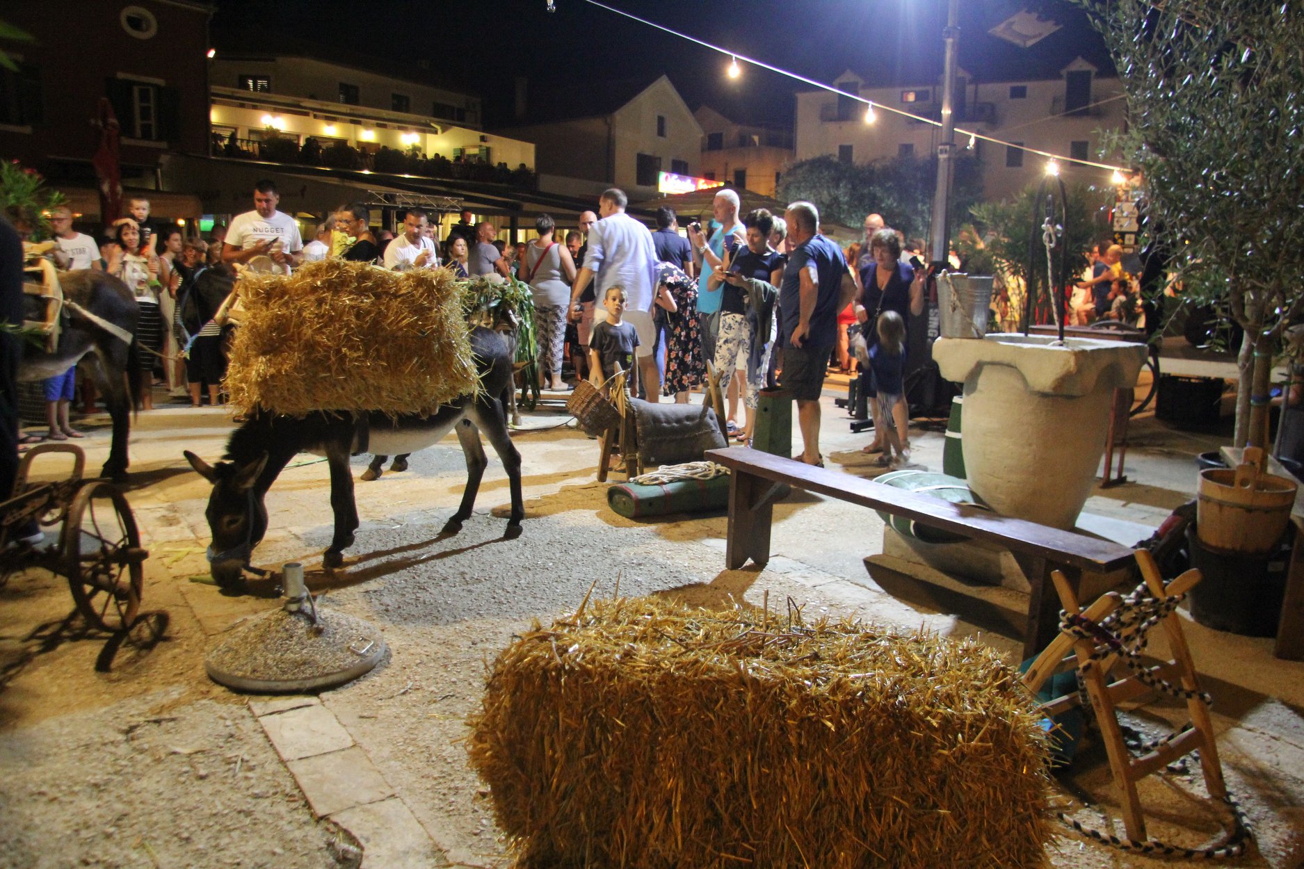 Peta “Utrka tovara” u Sv. Filipu i Jakovu