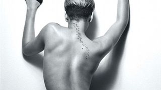 Image 1038593 (auto)