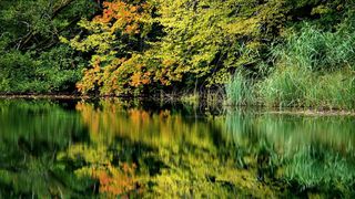 NP Plitvička jezera, listopad 2021.