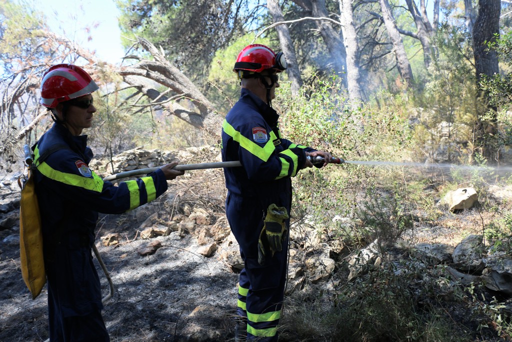 Vir: Požar u Lozicama u potpunosti ugašen Vir: Požar u Lozicama u potpunosti ugašen