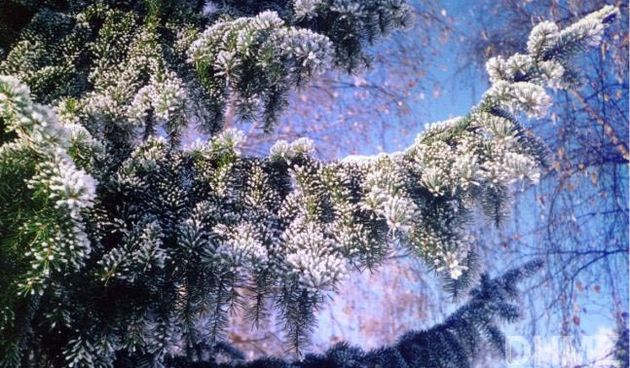 mraz, inje, foto: klima.hr