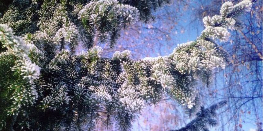 mraz, inje, foto: klima.hr mraz, inje, foto: klima.hr