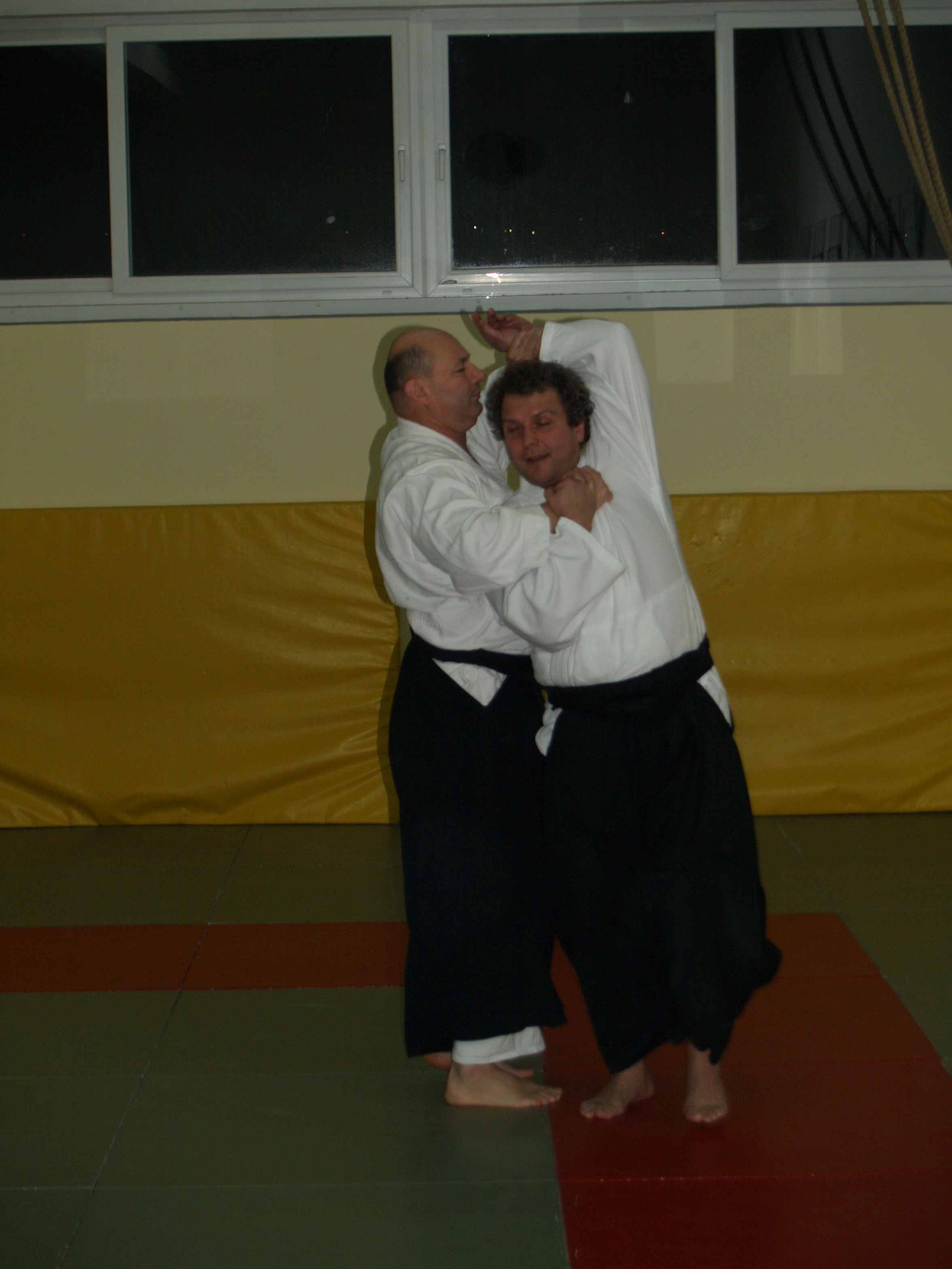 Aikido, seminar Alesa Leskovseka u AK Donat
