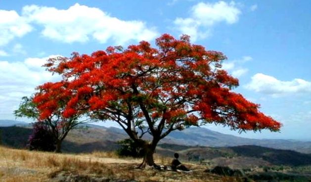 Zambija, Foto. index.hr