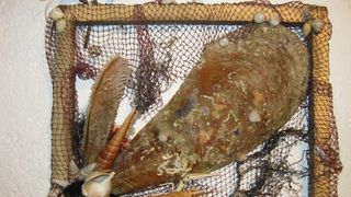 Kreativni radovi Željka Kulaša Kreativni radovi Željka Kulaša