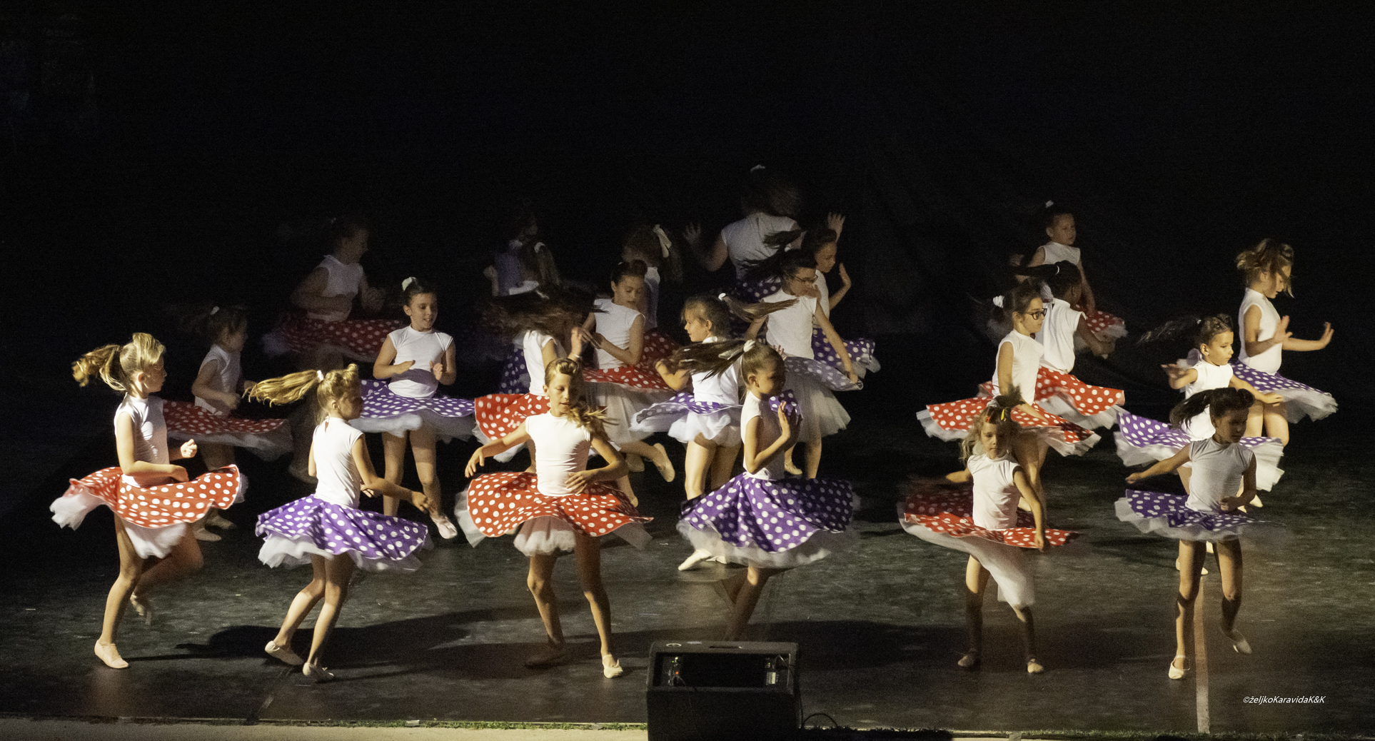 Gesta obilježila dvadeset godina djelovanja Gesta obilježila dvadeset godina djelovanja