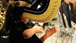 Koncert Strasbourg Youth Symphony orchestra, foto: Nenad Marčev Koncert Strasbourg Youth Symphony orchestra, foto: Nenad Marčev
