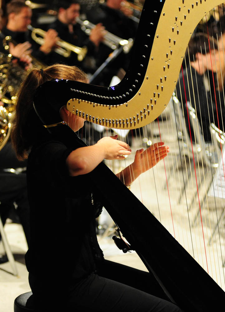 Koncert Strasbourg Youth Symphony orchestra, foto: Nenad Marčev Koncert Strasbourg Youth Symphony orchestra, foto: Nenad Marčev