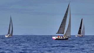 Zadarska regata 2021.