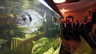 Valentinovo u restoranu Niko, Foto: Saša Čuka Valentinovo u restoranu Niko, Foto: Saša Čuka