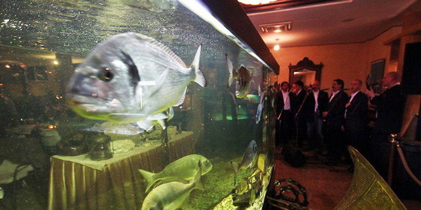 Valentinovo u restoranu Niko, Foto: Saša Čuka Valentinovo u restoranu Niko, Foto: Saša Čuka