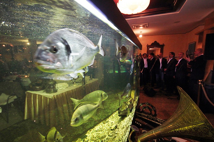 Valentinovo u restoranu Niko, Foto: Saša Čuka Valentinovo u restoranu Niko, Foto: Saša Čuka