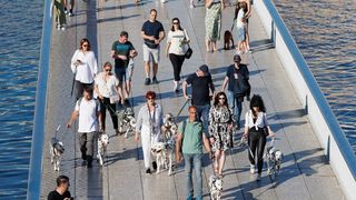 Red Carpet Dalmatian Walk @Trg pet bunara Red Carpet Dalmatian Walk @Trg pet bunara