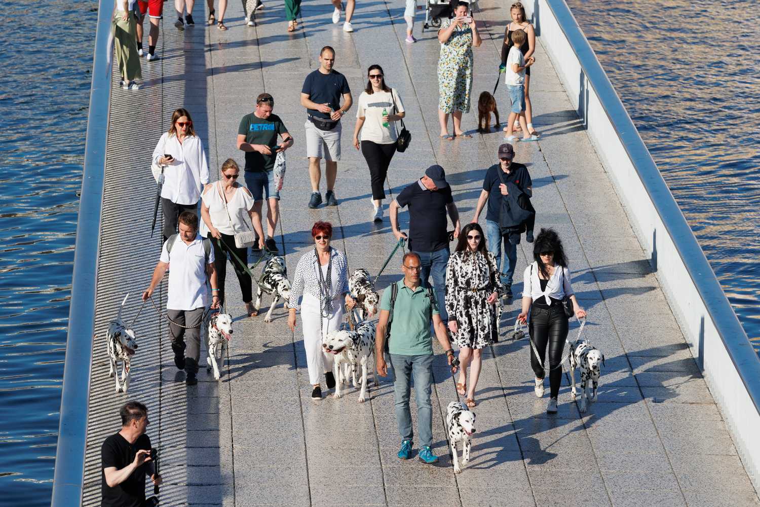 Red Carpet Dalmatian Walk @Trg pet bunara Red Carpet Dalmatian Walk @Trg pet bunara