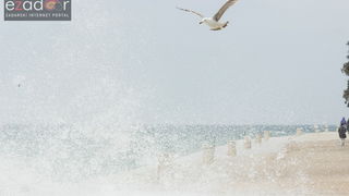 Đir po gradu 26. travnja 2017. Đir po gradu 26. travnja 2017.