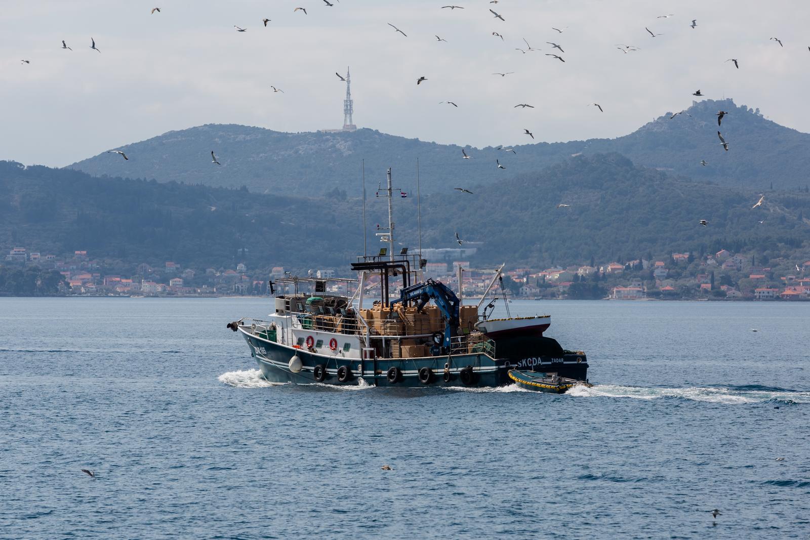 Sunčana nedjelja na zadarskim ulicama