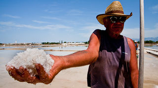 Solana Nin, berba soli, foto: Leo Banić