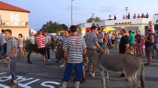 Trka Tovarov – 48. Memorijal Kenje Vijole Sukošan  Photo: Leo Banić