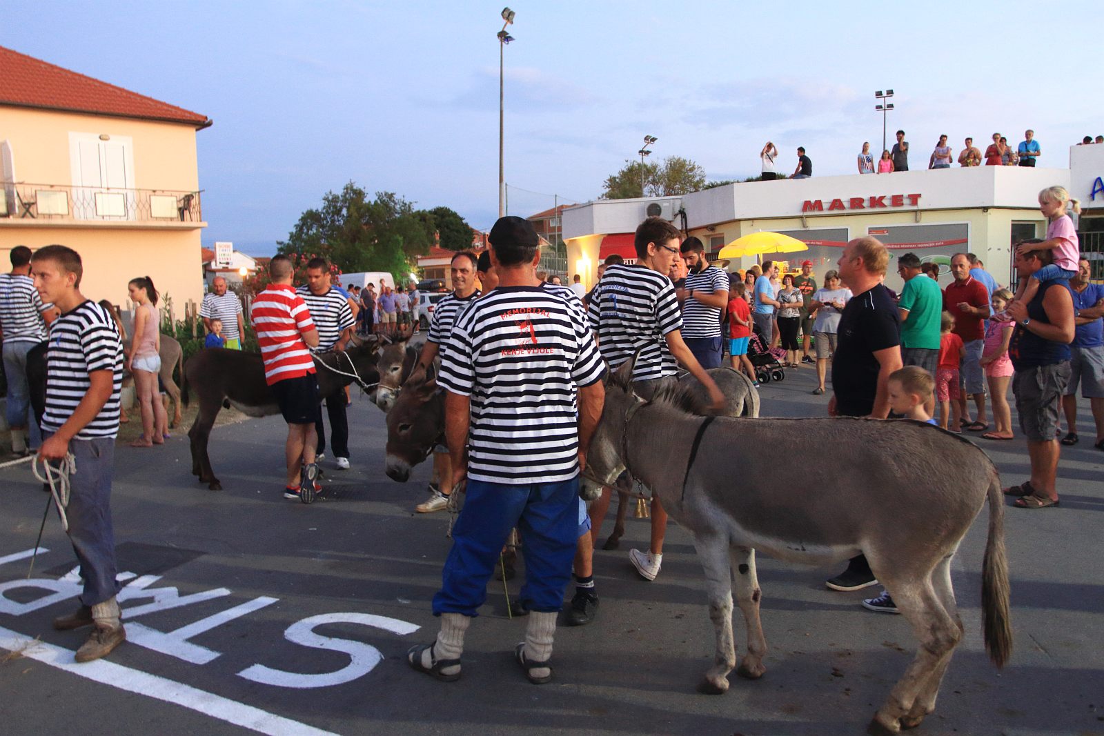 Trka Tovarov – 48. Memorijal Kenje Vijole Sukošan  Photo: Leo Banić