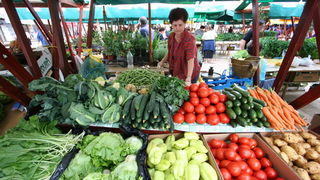 Image 1203807 (auto)