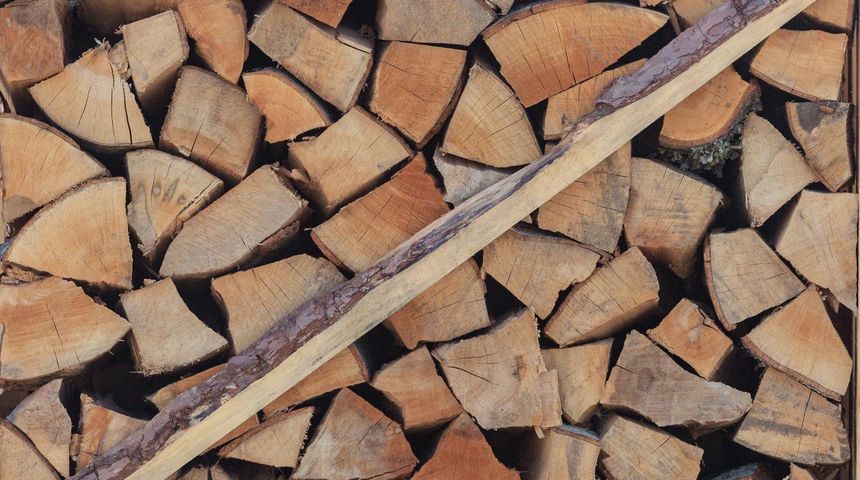 U Zadru metar drva za ogrijev premašuje cijenu od 650 kuna U Zadru metar drva za ogrijev premašuje cijenu od 650 kuna