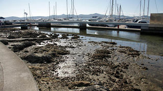 Oseka u Zadru more se povuklo nekih 50-ak cm