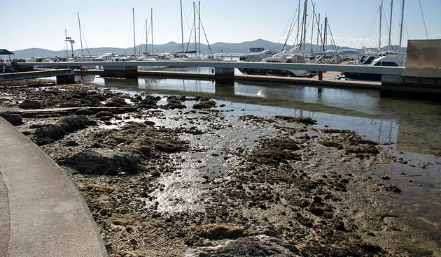 Oseka u Zadru more se povuklo nekih 50-ak cm
