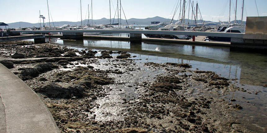 Oseka u Zadru more se povuklo nekih 50-ak cm