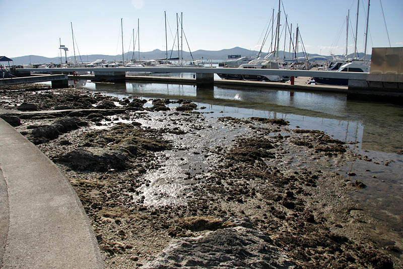 Oseka u Zadru more se povuklo nekih 50-ak cm