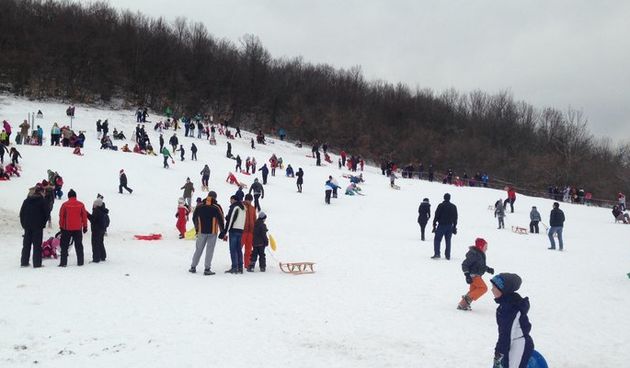 Lovinac sanjkaliste, Cvitusa (foto:hrt)