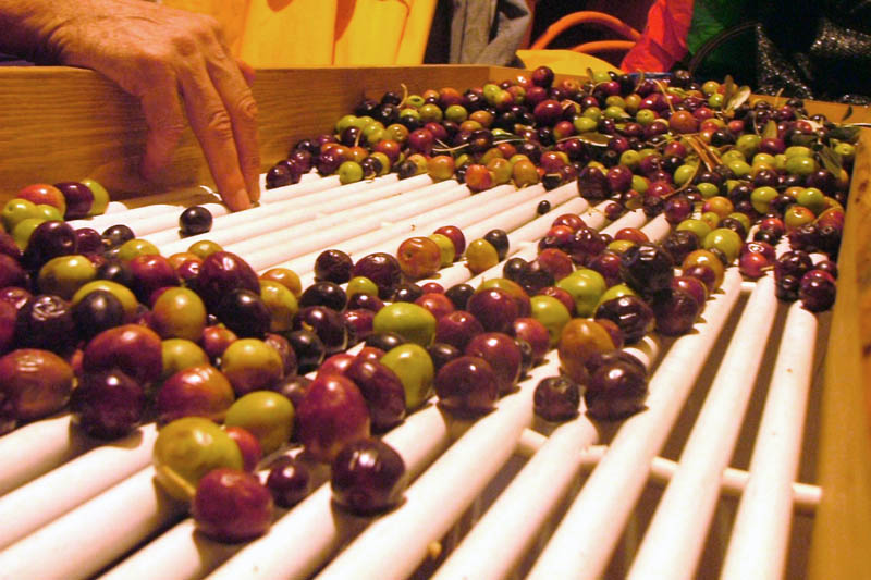 Image 1191207 (auto)