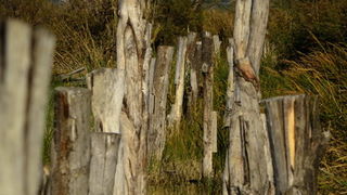 Nedjeljni đir do Parka prirode Vransko jezero i vidikovca Kamenjak, foto: Iva Perinčić Nedjeljni đir do Parka prirode Vransko jezero i vidikovca Kamenjak, foto: Iva Perinčić