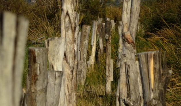 Nedjeljni đir do Parka prirode Vransko jezero i vidikovca Kamenjak, foto: Iva Perinčić